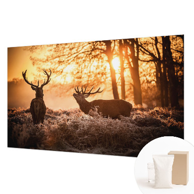 Fotografická tapeta na vliese Jeleň ráno