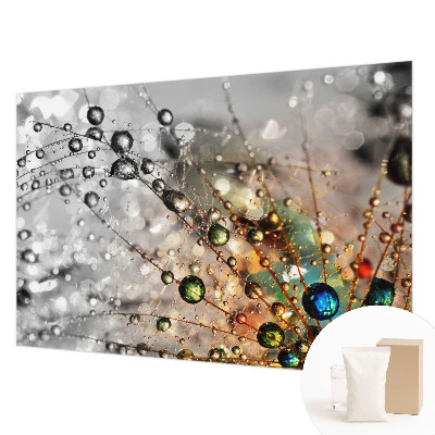 Luxusná tapeta Osviežujem šperky rosou