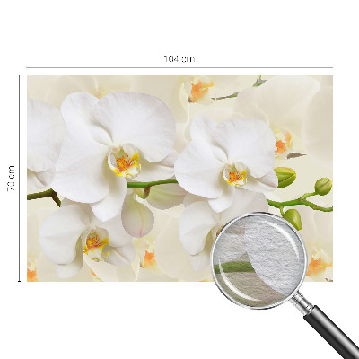 Tapeta na stenu Kvetinové bohatstvo