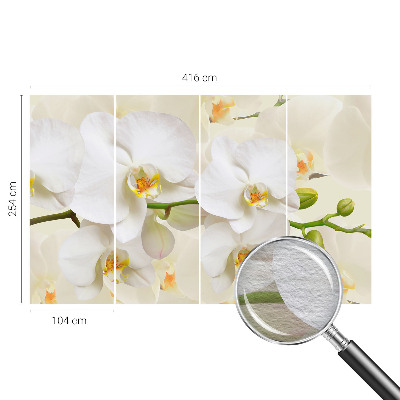 Tapeta na stenu Kvetinové bohatstvo