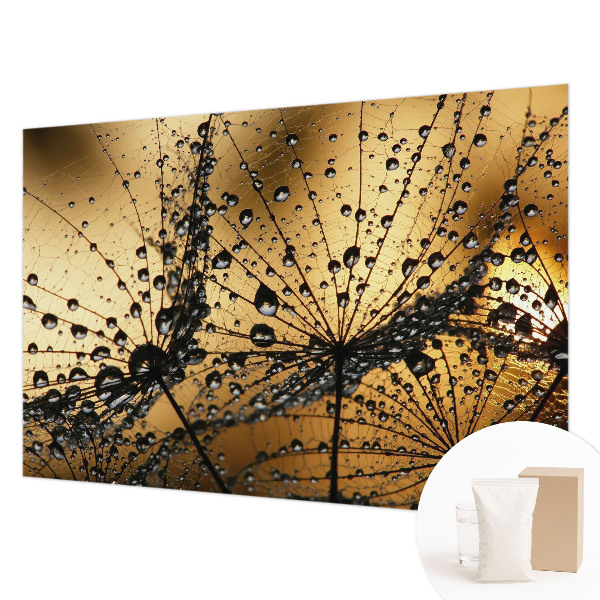 Tapeta Jemné kvapky