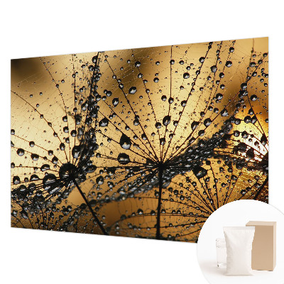 Tapeta Jemné kvapky