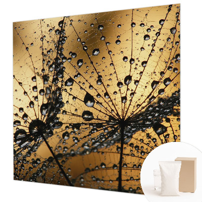 Tapeta Jemné kvapky