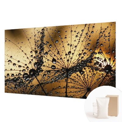 Tapeta Jemné kvapky