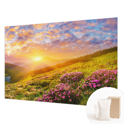 Vliesová tapeta Horský západ