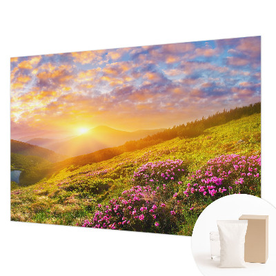 Vliesová tapeta Horský západ