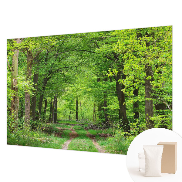 Vliesová tapeta na stenu Lesný chodník