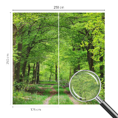 Vliesová tapeta na stenu Lesný chodník