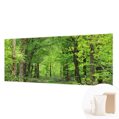 Vliesová tapeta na stenu Lesný chodník