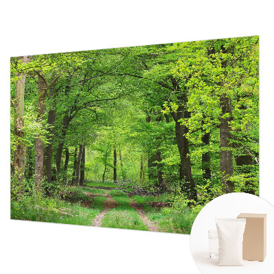 Vliesová tapeta na stenu Lesný chodník