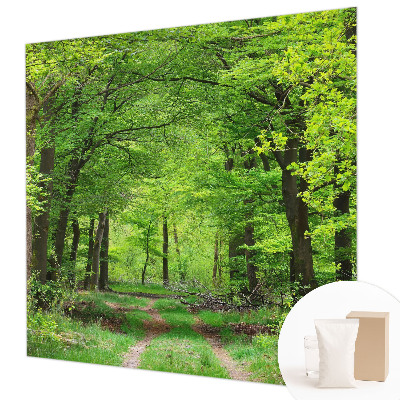 Vliesová tapeta na stenu Lesný chodník