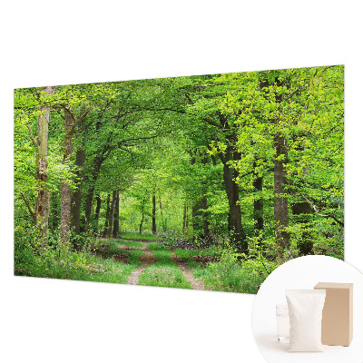 Vliesová tapeta na stenu Lesný chodník