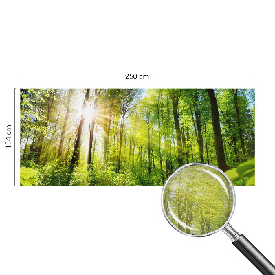 Fototapeta do obývačky Lesné svetlo