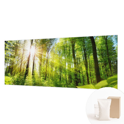 Fototapeta do obývačky Lesné svetlo