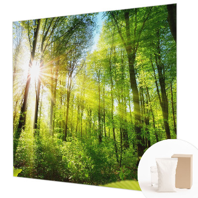 Fototapeta do obývačky Lesné svetlo