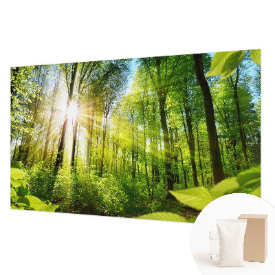 Fototapeta do obývačky Lesné svetlo