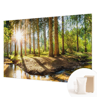 Vliesová fototapeta do obývačky Lesná idylka