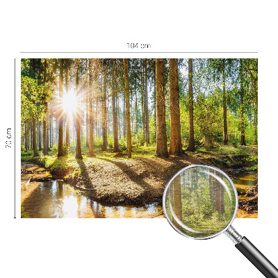 Vliesová fototapeta do obývačky Lesná idylka