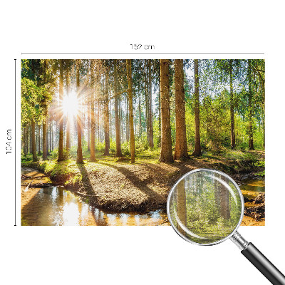 Vliesová fototapeta do obývačky Lesná idylka