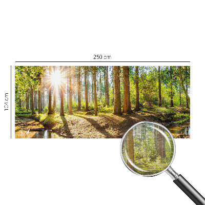 Vliesová fototapeta do obývačky Lesná idylka