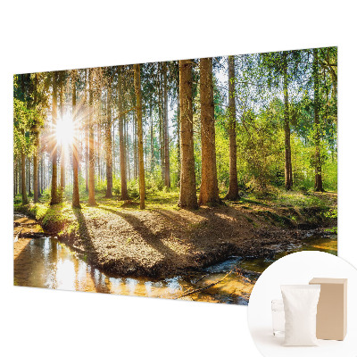 Vliesová fototapeta do obývačky Lesná idylka