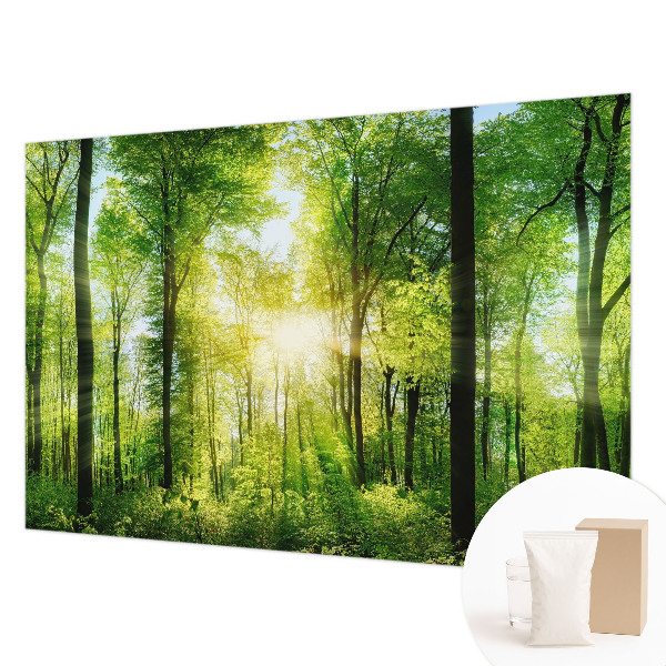 Fotografická tapeta vliesová Lesná harmónia