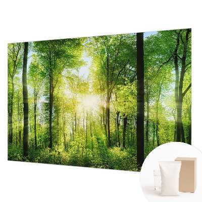 Fotografická tapeta vliesová Lesná harmónia