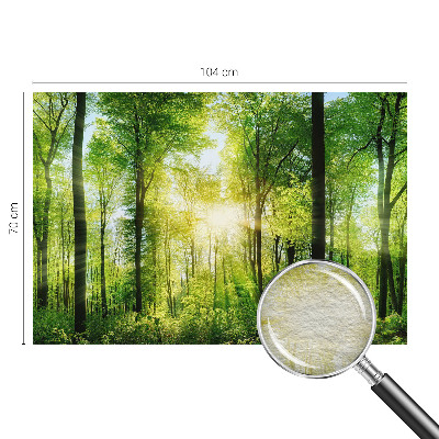 Fotografická tapeta vliesová Lesná harmónia