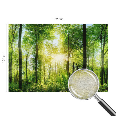 Fotografická tapeta vliesová Lesná harmónia