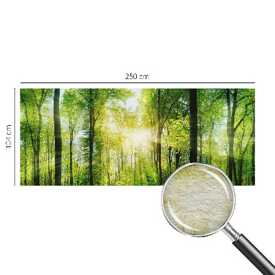 Fotografická tapeta vliesová Lesná harmónia