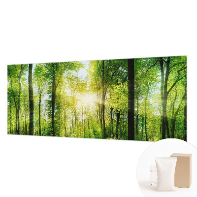 Fotografická tapeta vliesová Lesná harmónia