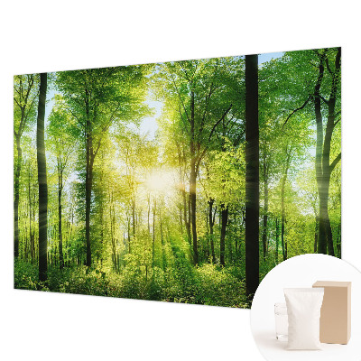 Fotografická tapeta vliesová Lesná harmónia