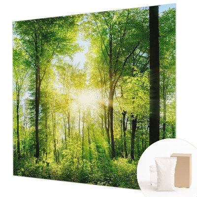 Fotografická tapeta vliesová Lesná harmónia