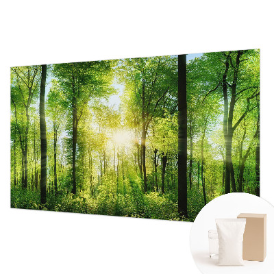 Fotografická tapeta vliesová Lesná harmónia