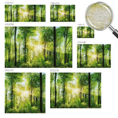 Fotografická tapeta vliesová Lesná harmónia