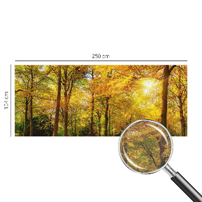 Fototapeta s potlačou na vliese Zlaté listy