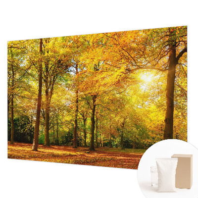 Fototapeta s potlačou na vliese Zlaté listy