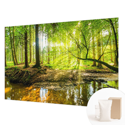 Dekoratívna fototapeta na stenu so vzorom zelenej krajiny
