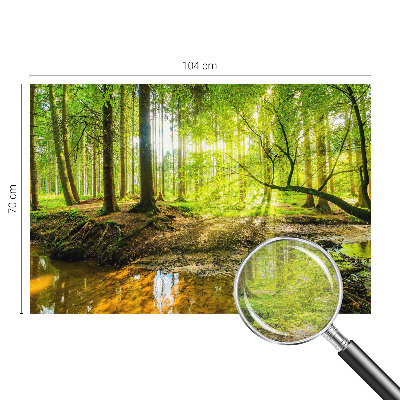 Dekoratívna fototapeta na stenu Zelená krajina