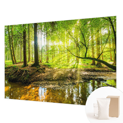 Dekoratívna fototapeta na stenu Zelená krajina