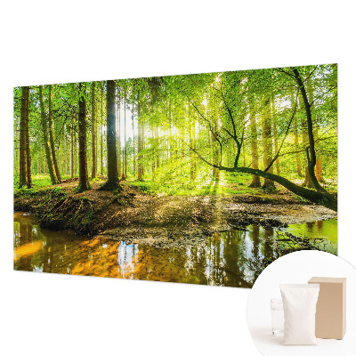 Dekoratívna fototapeta na stenu Zelená krajina