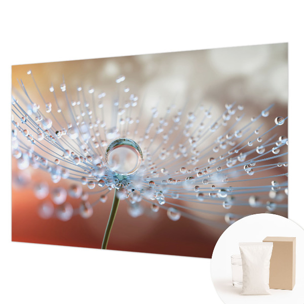 Fototapeta na mieru Kvapka na púpave