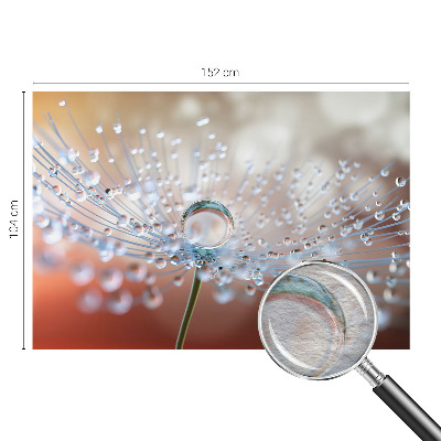 Fototapeta na mieru Kvapka na púpave