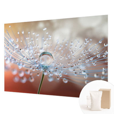 Fototapeta na mieru Kvapka na púpave