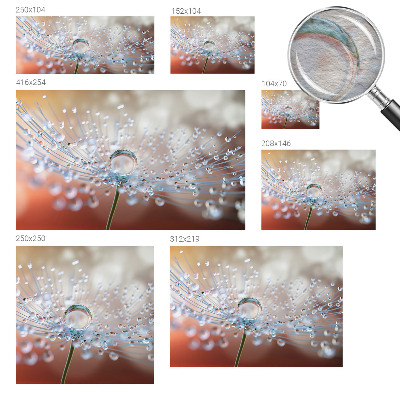 Fototapeta na mieru Kvapka na púpave