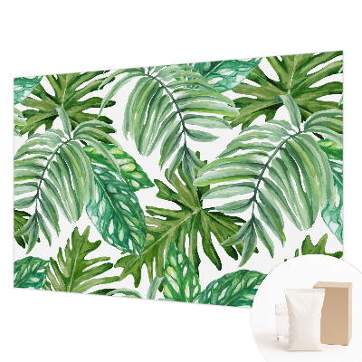 Dekoratívna fototapeta na stenu Exotické listy