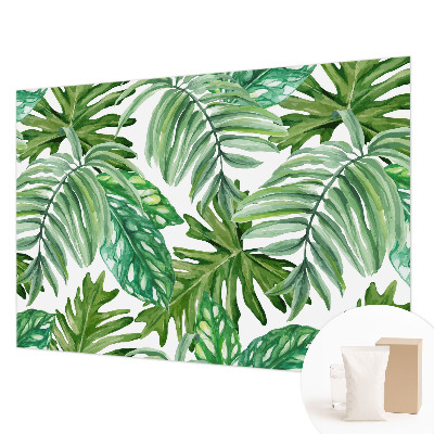 Dekoratívna fototapeta na stenu Exotické listy