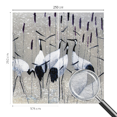 Fototapeta do obývačky Harmonické žeriavy