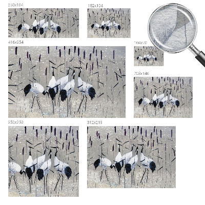 Fototapeta do obývačky Harmonické žeriavy