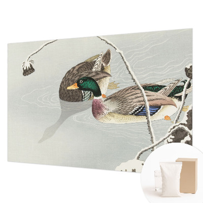 Vliesová fototapeta do obývačky Pokojné kačky